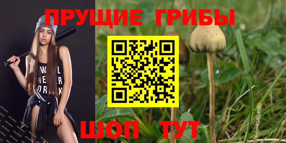 Галлюциногенные грибы Magic Shrooms Энгельс